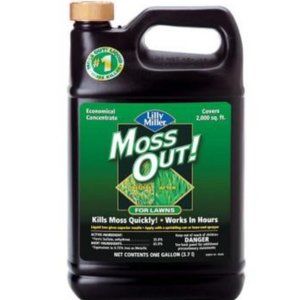 Lilly Miller Moss Out For Lawns Concentrate 1gal